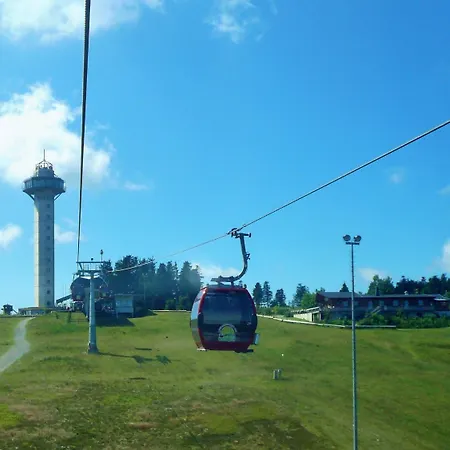 Upland-flair Waldpfad Im Zentrum! Apartamento