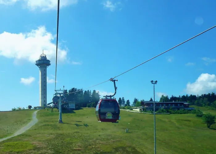 Upland-flair Waldpfad Im Zentrum! Apartamento